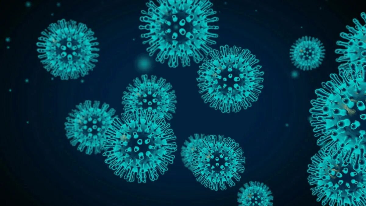 The virus can be. Коронавирус. Коронавирус текстура. Коронавирусы (подсемейство). Коронавирус 900*480.