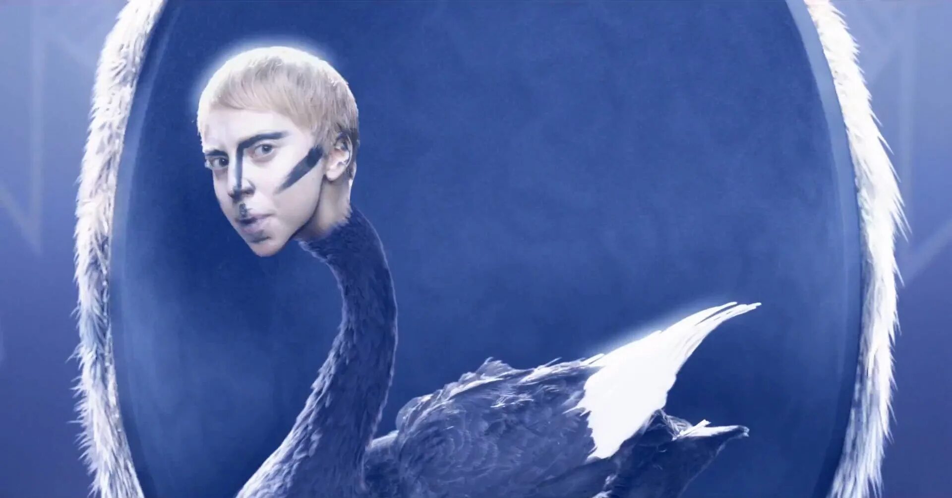 Гаги гуге. Гуга Гага. Джонатан лебед. Леди Гага лебедь. Applause Lady Gaga лебедь.