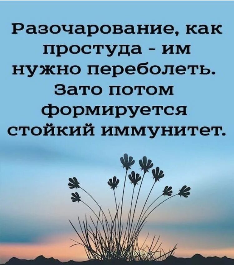 Разочарование в литературе. Разочарование как простуда. Разочарование как простуда им нужно. Разочарование как простуда - нужно переболеть. Разочарование цитаты.