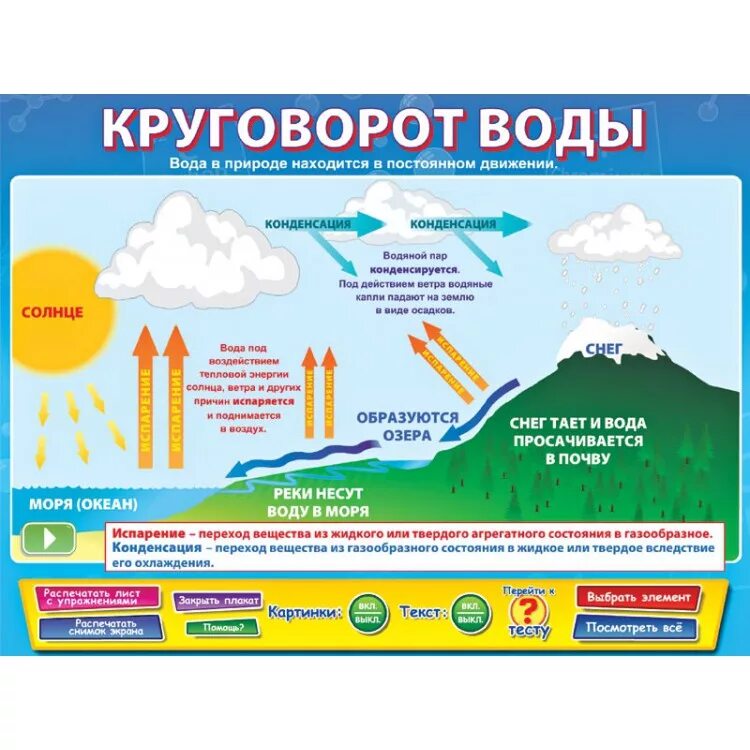 Наглядные пособия по окружающему миру. Интерактивные наглядные пособия. Наглядные пособия для начальной школы окружающий мир. Наглядности по естествознанию. Наглядные пособия примеры