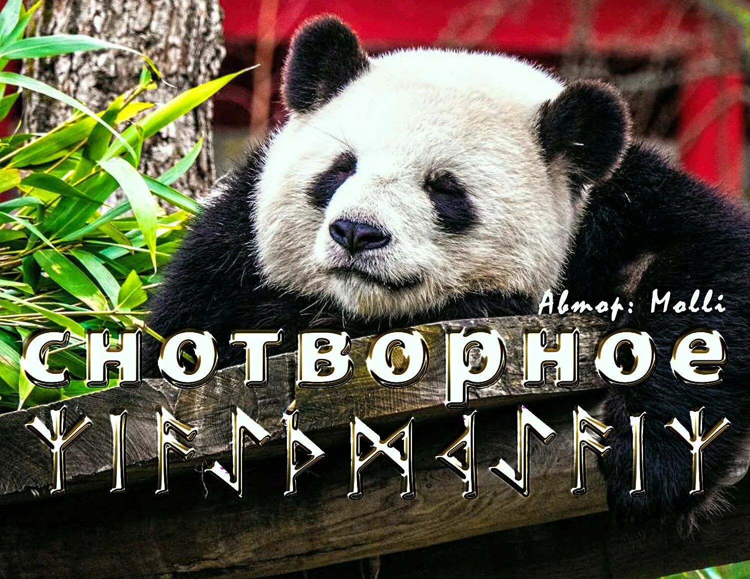 Став усыпить. Шип сна став. Став усыпить. Фотосессия с рунами. AEsinger руна.