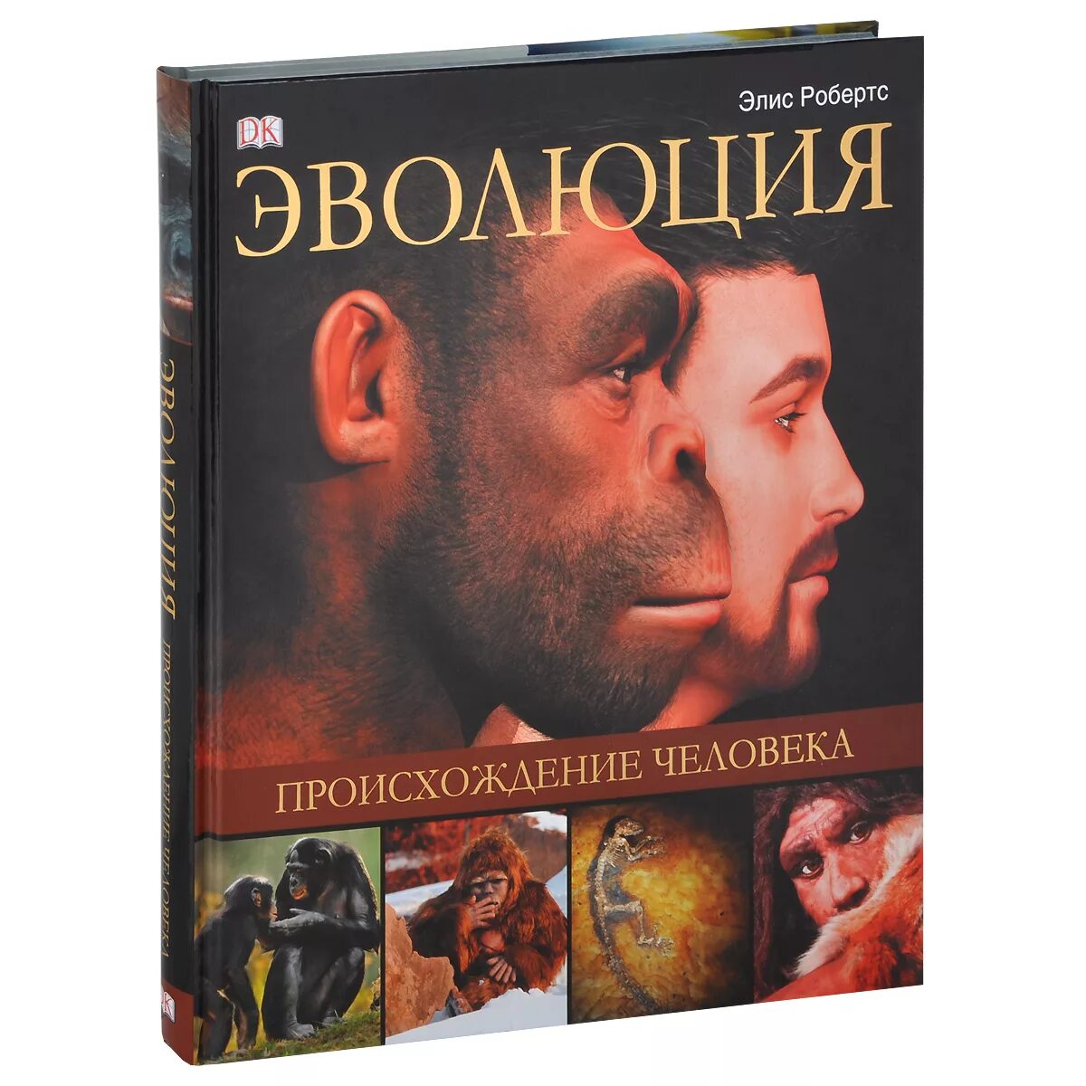 происхождение человека. происхождение человека эволюция книга элис робертс. происхождение человека робертс. происхождение человека робертс. элис робертс происхождение человека.