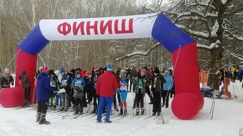 Подольск дубки