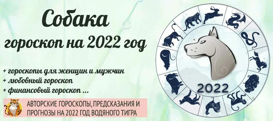 Год собака мужчина гороскоп. Гороскоп на 2022. Гороскоп на 2022 год. Год собаки гороскоп. Года собаки по гороскопу.