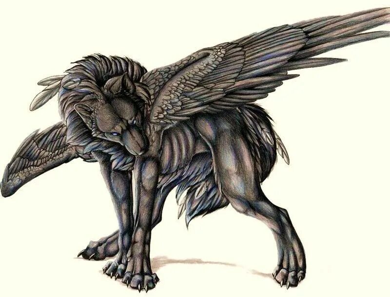 Крылатая собака. Симуран волкодав. Семаргл и Симуран. Симуран Славянская мифология. Симуран крылатый волк.