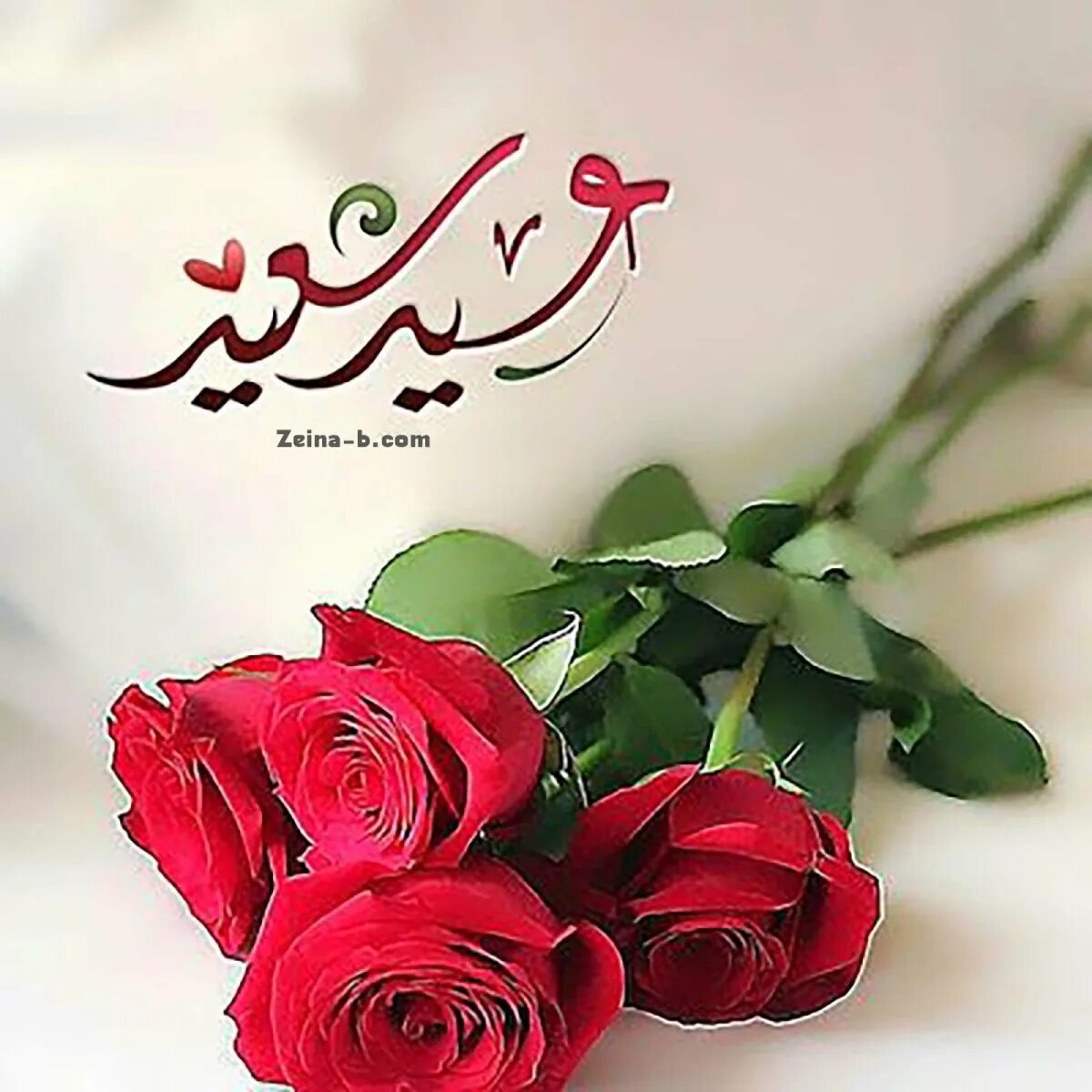 Мусульманские пожелания. Красивые мусульманские пожелания. Поздравления на арабском языке. Мусульманские цветы.