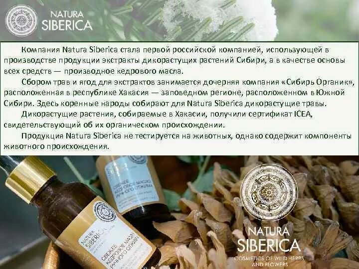 Natura перевод. Натура Сиберика продукция. Сертификаты Natura Siberica. Кедровое масло Сиберика. Натура Сиберика подарочный сертификат.