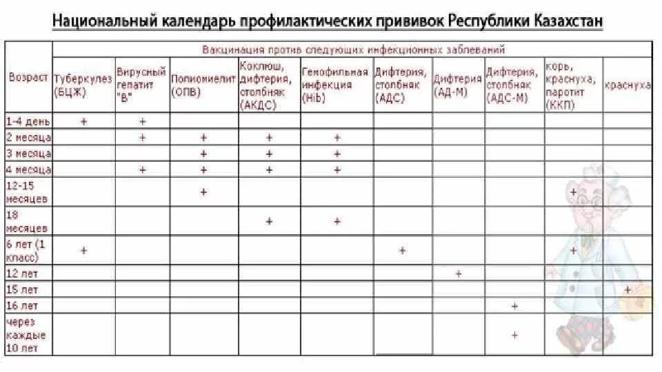 План профилактических прививок для детей до 1 года. Национальный календарь профилактических прививок дифтерия. Вакцинация БЦЖ национальный календарь прививок. Составление плана вакцинации (плана прививок).