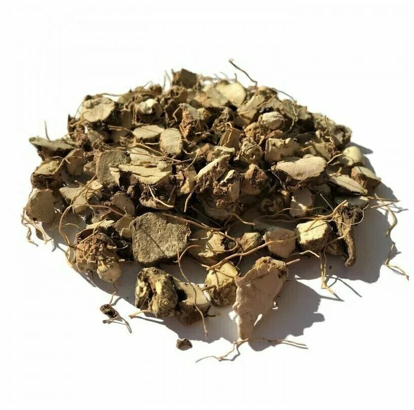 Корневища с корнями диоскореи. Корень травы диоскорея. Диоскорея ниппонская сырье. Диоскорея кавказская. Диоскорея кавказская сушеная.