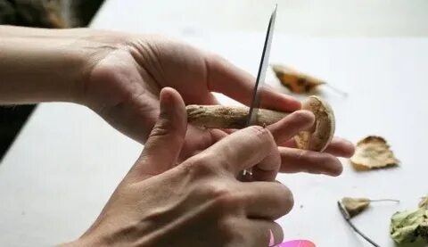 Чем оттереть грибы от пальцев