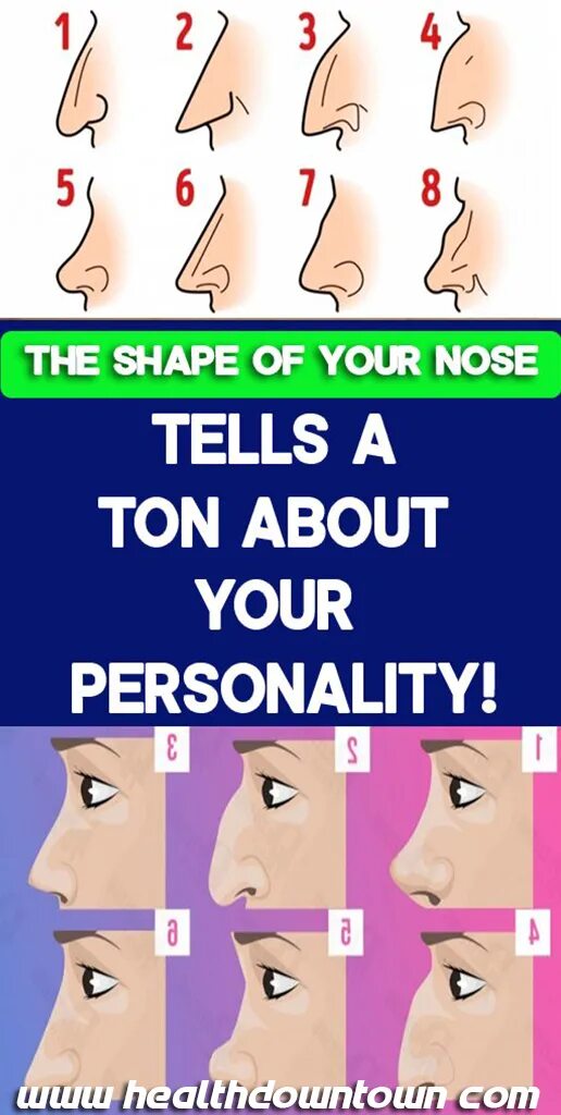 Nose shapes. Types of noses. types of nose shapes. nose как читать.