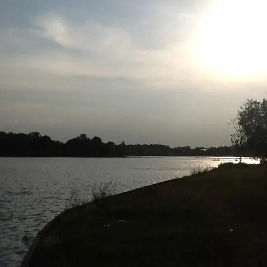 Долгопрудный парк водники островок. Островок долгопрудный. Водники ул якорная долгопрудный. Островок долгопрудный. Парк островок долгопрудный.