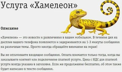 Хамелеон билайн