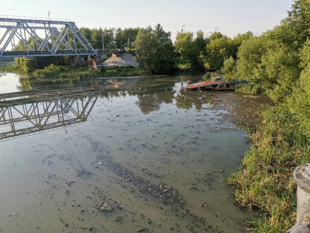 Вода в реке сура