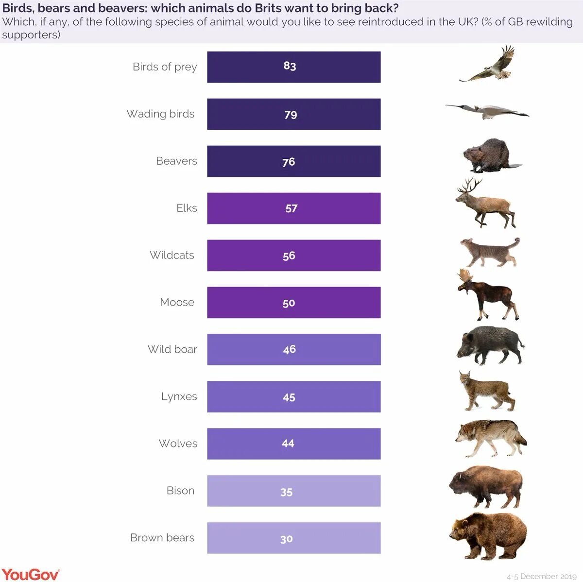 Animals in the uk. Species of animals. Animal species in United Kingdom. Extinct species of Bears.