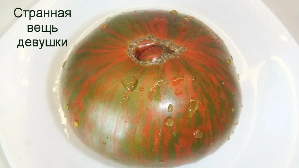 Томат сорт странная вещь девочки. Сорт томатов странная вещь девочкиной девочки. Томат странная вещь девушки. Томат странная вещь. Сорт томатов странная вещь девушки.