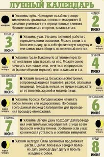 Чистка печени по дням
