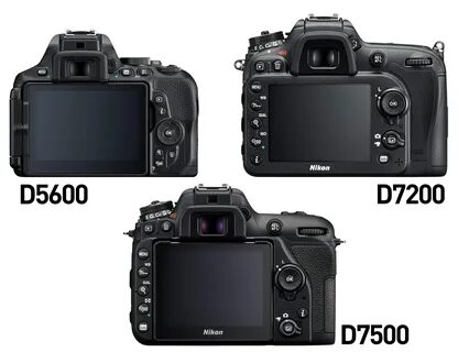 Nikon d90 vs