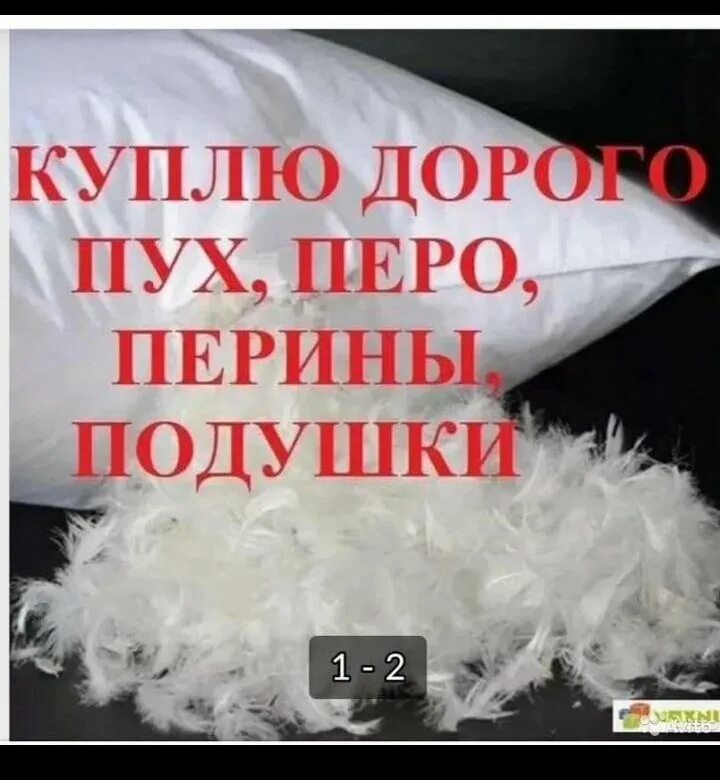 старая подушка. пух перо принимаем. где принимают пух перо. прием пуха и пера. прием пуха и пера.