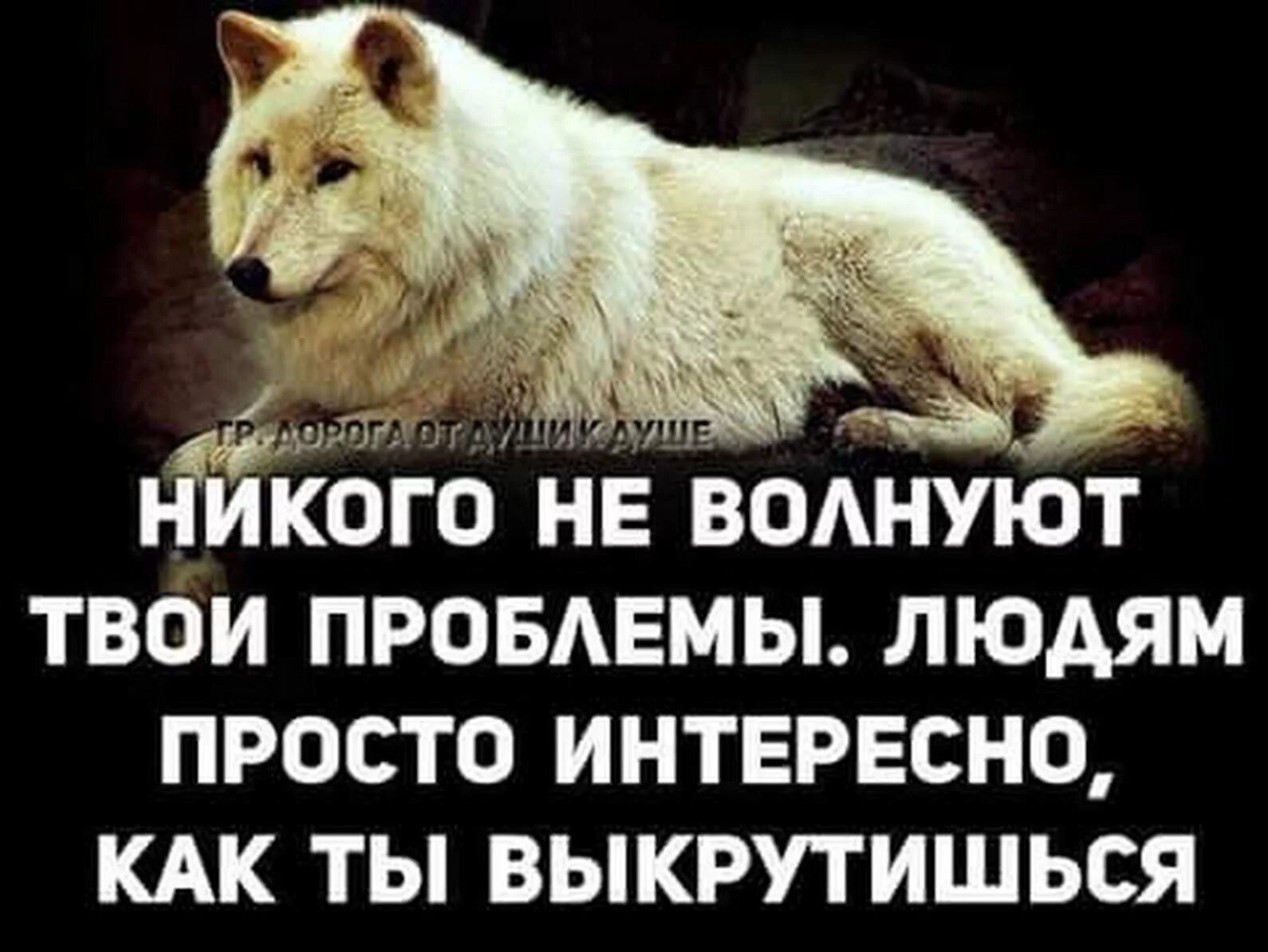 Никто проблемы не решит. Афоризмы про проблемы. Цитаты про проблемы. Фразы про проблемы. Высказывания о проблемах.