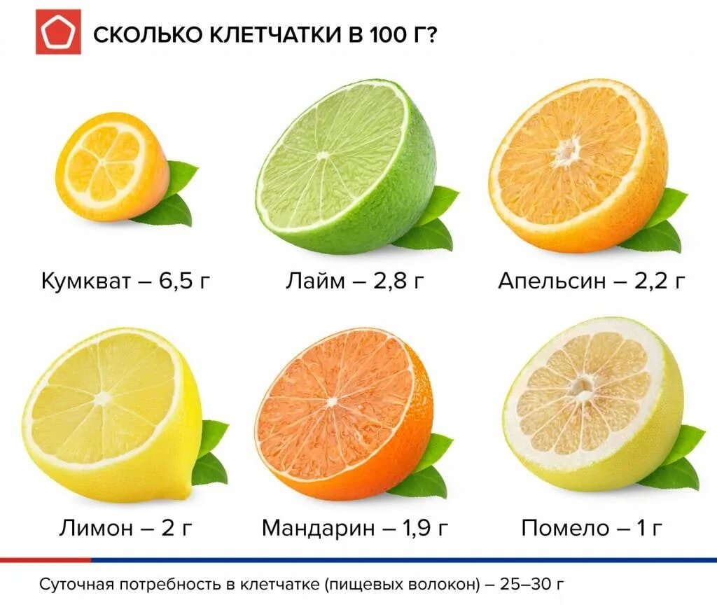 Цитрусы названия. Разновидности цитрусовых. Разновидность цитрусовых фруктов. Цитрусовый фрукт большого размера. Апельсин грейпфрут как называется