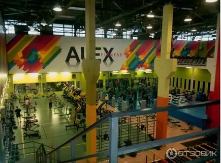 Алекс фитнес филион