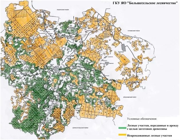 севастопольское лесничество севастополь. схема расположения земельного участка с кадастровым номером. земли лесного фонда калужской области карта. публичная кадастровая карта росреестра с объектами недвижимости. кадастровая карта 2021 года.