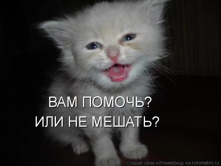 булгаков вы смеетесь надо мной потому что я отличаюсь от вас. бывший смеется надо мной. вы смеётесь надо мной потому что я. вы смеётесь надо мной потому. цитаты вы смеетесь надо мной.