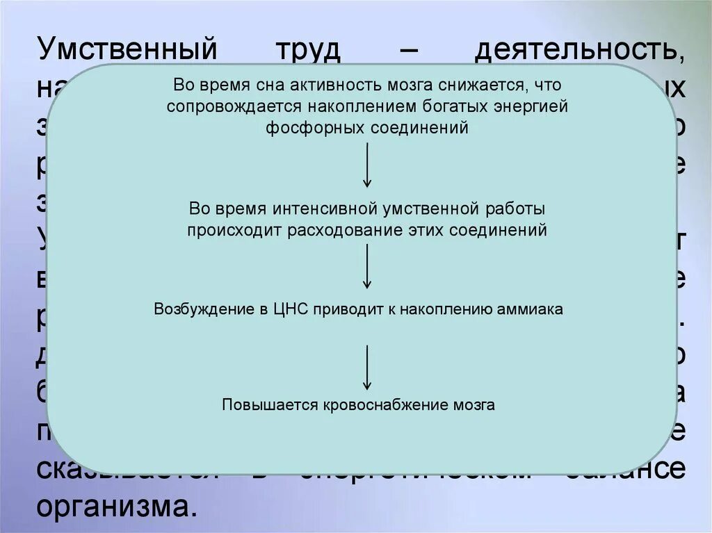 Время активного мозга. Во время сна деятельность мозга. Во время сна активность мозга понижается или повышается. Во время сна активность мозга ответ. Умственный труд.