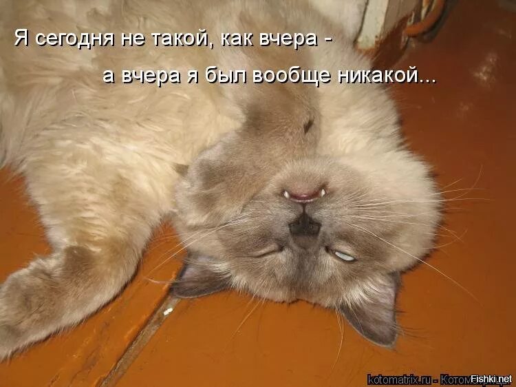 Что такое сегодня. Я сегодня не такой как вчера. картинки - это было вчера. вчера было хорошо а сегодня не очень. я сегодня не такой как вчера а вчера я был вообще никакой.