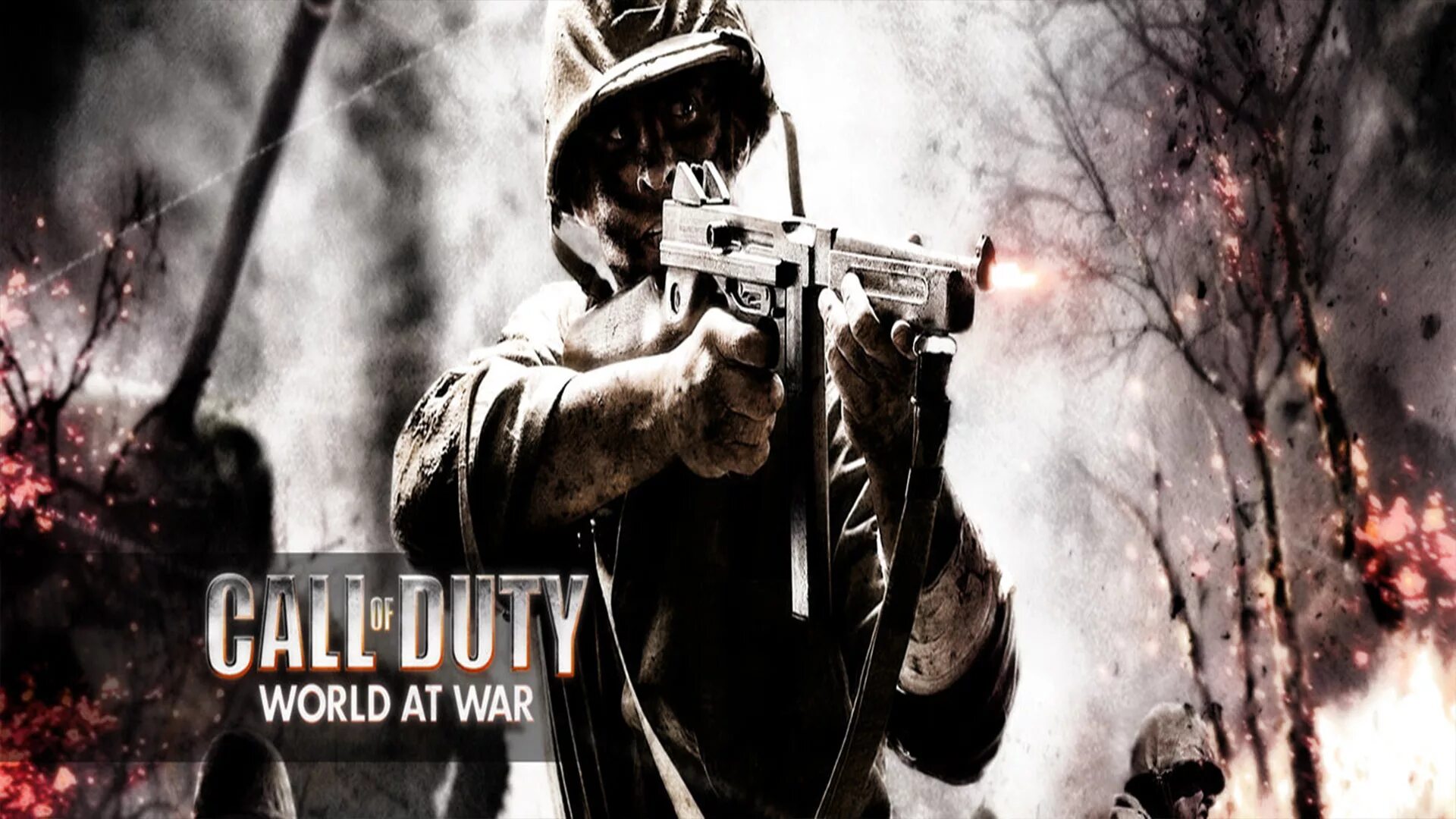 Call of duty waw