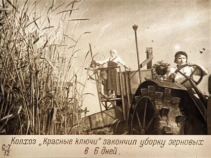 Колхоз без