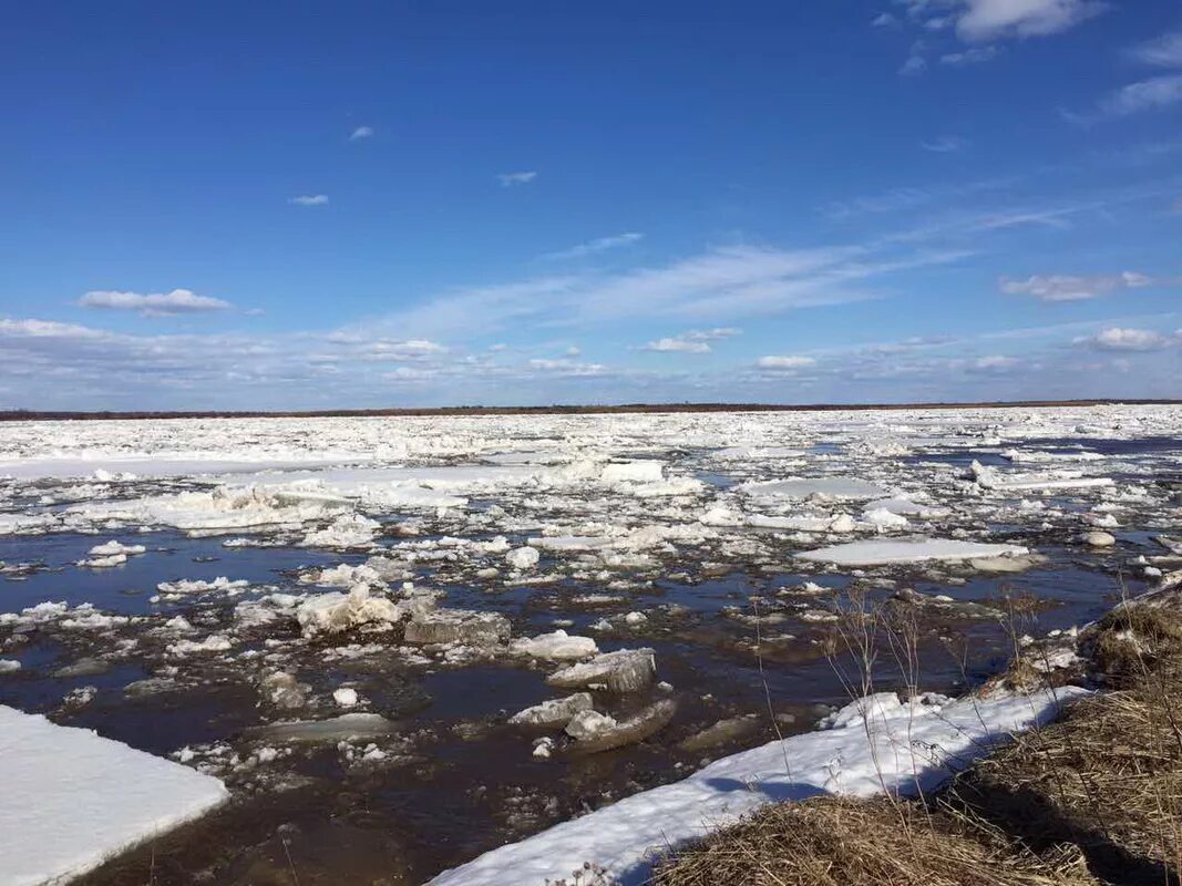 На реках севера на сегодня архангельск