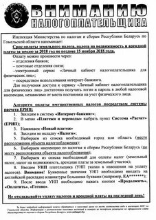 Номер унп беларусь