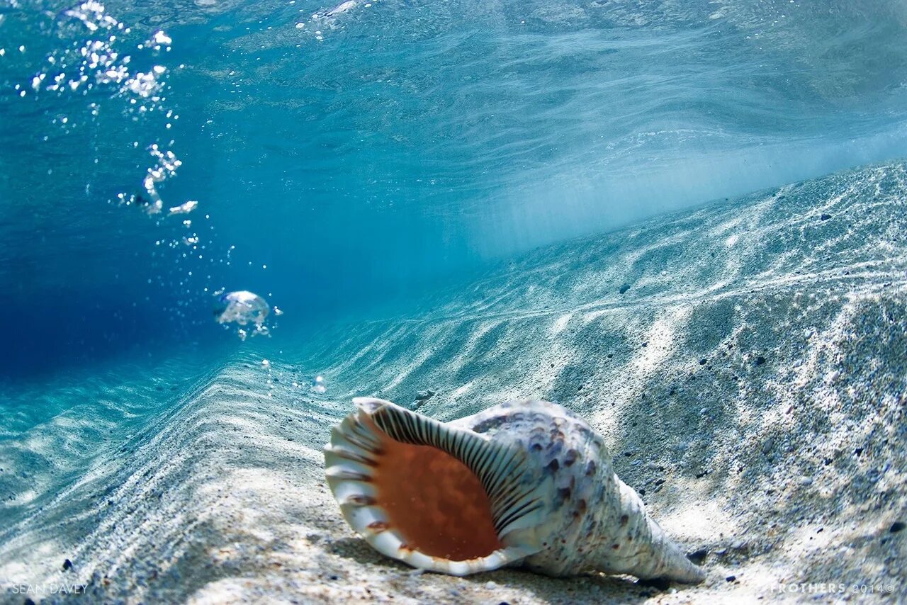 Сон снится океан. Морская пена ночью. Сон океан чистый. Природа море. К чему снится океан во сне.