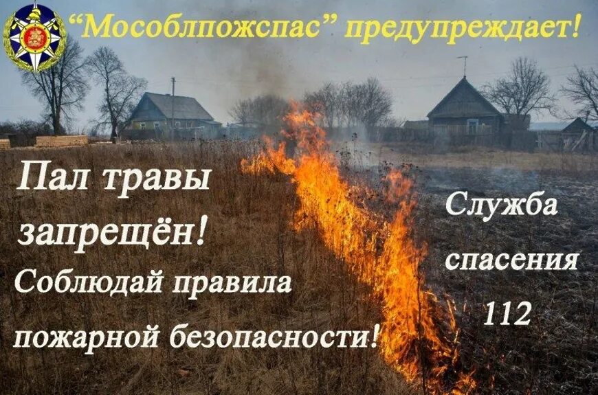 Пал травы запрещен. Памятка не жгите сухую траву. Мособлпожспас пал травы. Пал сухой травы.