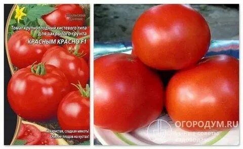 Томат красный волк характеристика и описание