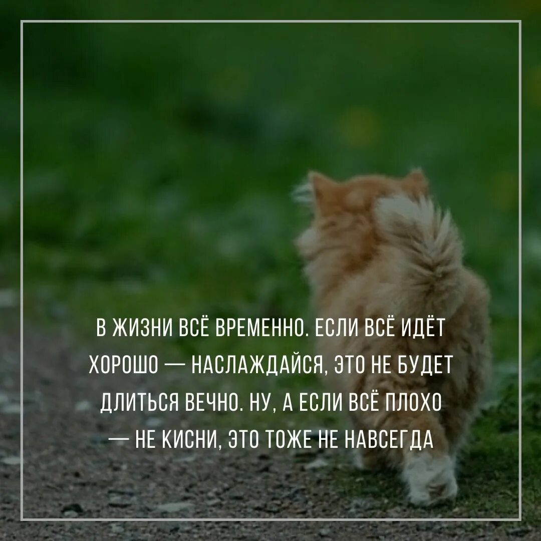 В жизни все временно. Цитаты. Всё временно цитаты. В жизни всё временно если. В жизни тоже много