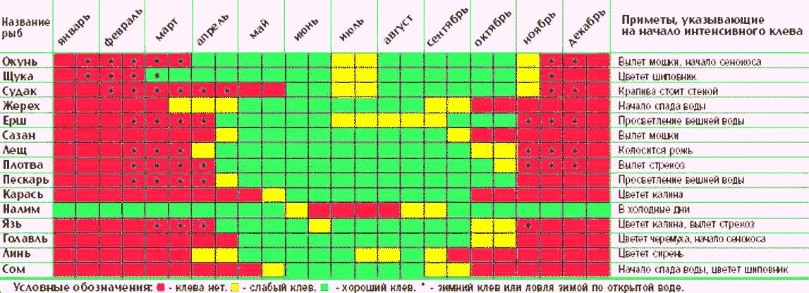 Когда начинает клевать карась после зимы. Рыболовный календарь. Таблица зимних рыбалок. Таблица активности клёва рыбы. Календарь клёва нереста рыбы.