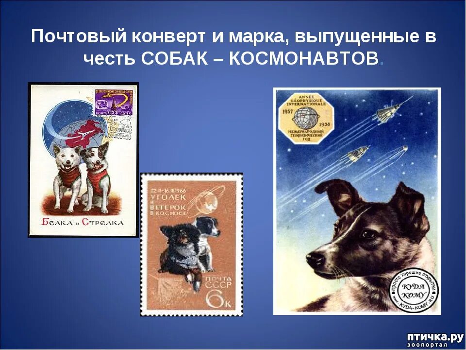 Собаки космонавты. Белка и стрелка в космосе марка. Почтовые марки белка и стрелка. Собаки космонавты лайка белка и стрелка. Собака звездочка в космосе