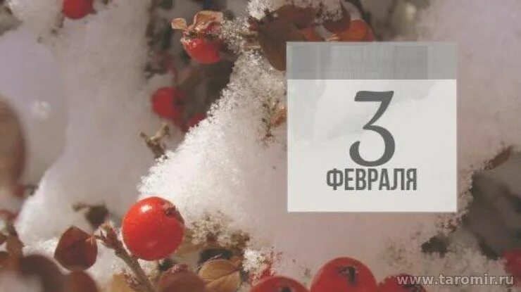 открытки с праздником двадцать третьем февраля. поздравлеияс23 февраля. 3 февраля народный праздник. третий день февраля. поздравление с 23 февраля мужчинам.