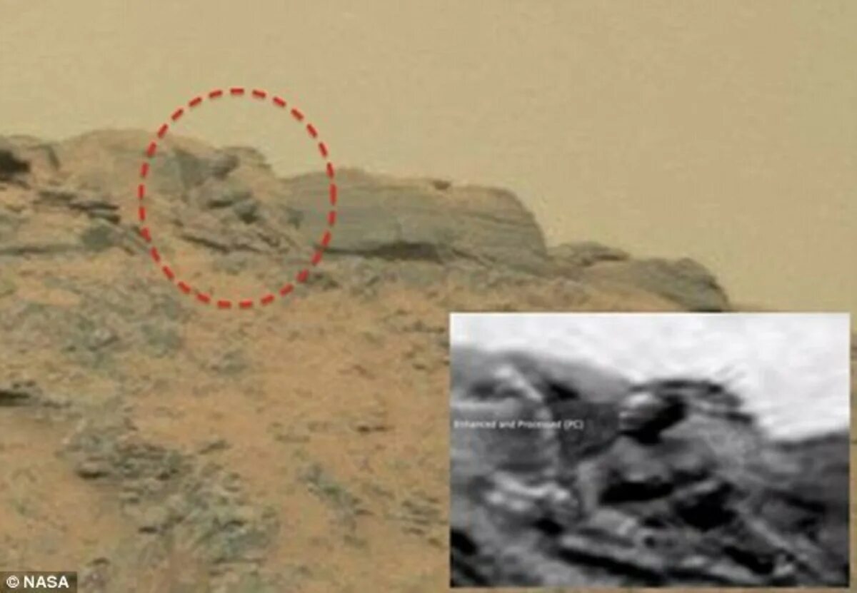 Снимки Марса Скотт Уоринг. Существуют ли инопланетяне на Марсе. Существуют ли марсиане на Марсе. Кто живет на марсе