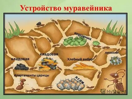 Кладовая карта