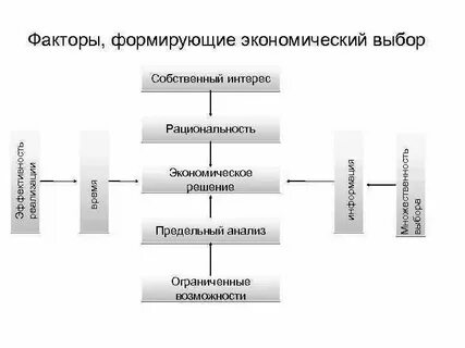 Экономический выбор семьи