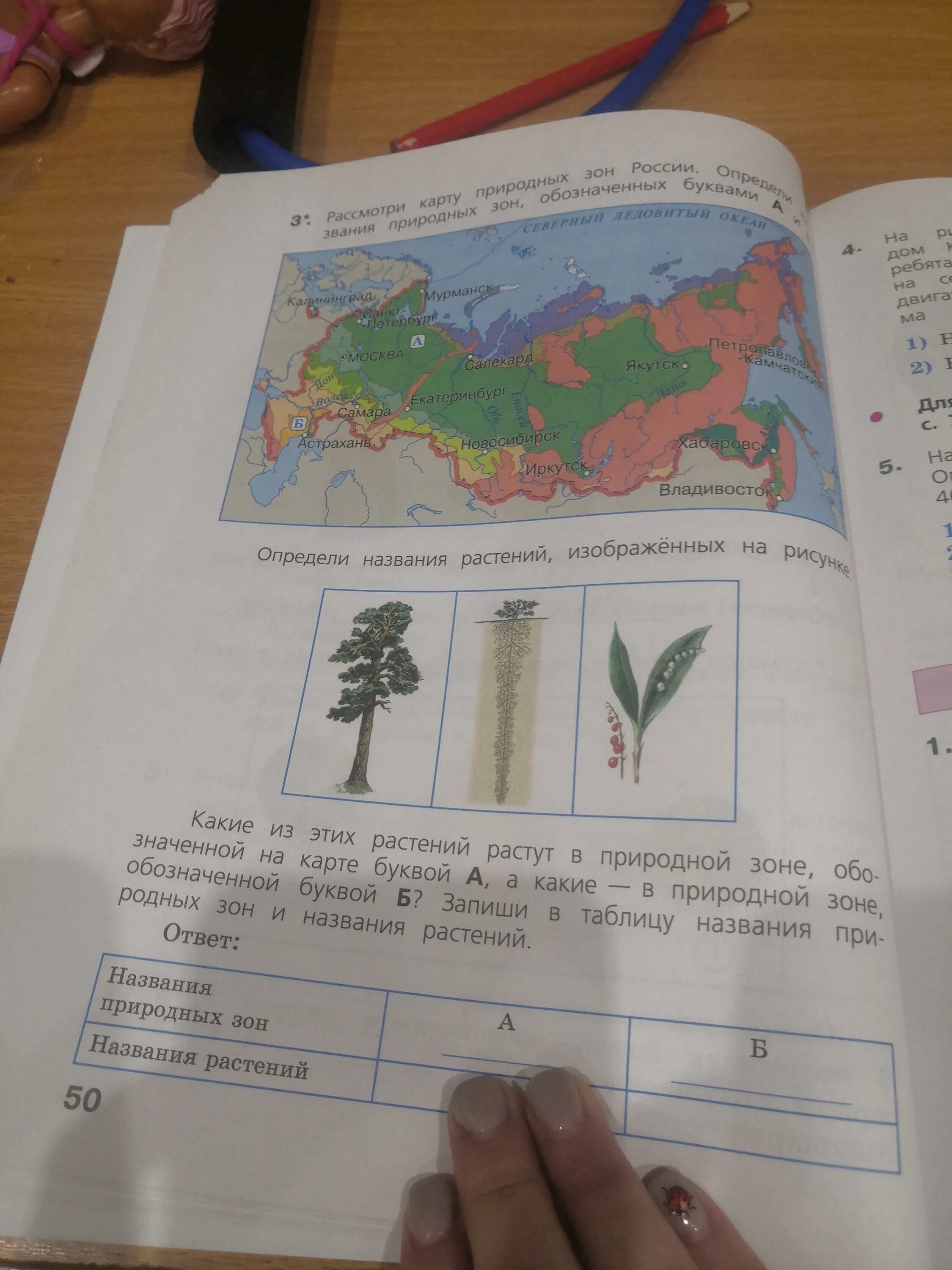 Рассмотри карту природных зон. Рассмотри карту природных зон России. Рассмотреть на карте природные зоны. Карта природных зон ВПР. Рассмотри карту учебника на странице 58