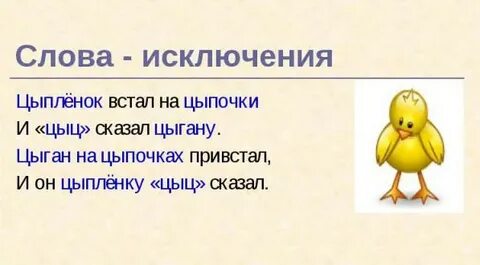 Слово цыплятки