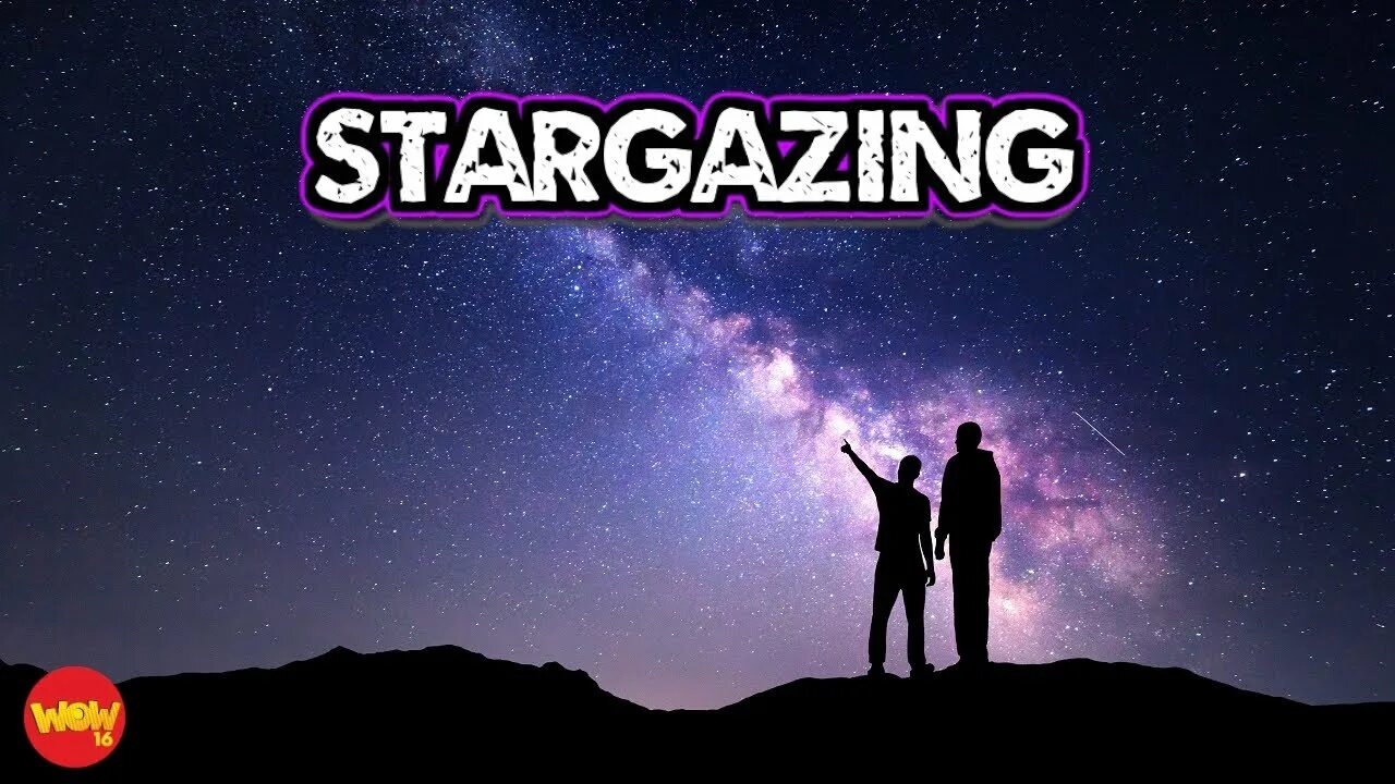 We watch the stars. We watch the stars. Силуэты на фоне звездного неба. Наблюдение за звездным небом. Quotes about stars.