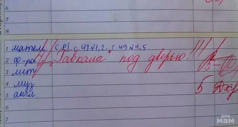 Что пишут учителя в тетради