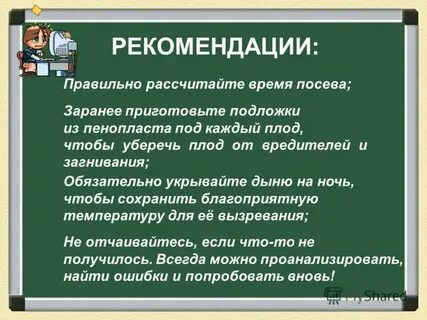 Продавца рекомендую как пишется