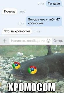 Хромосом рыба